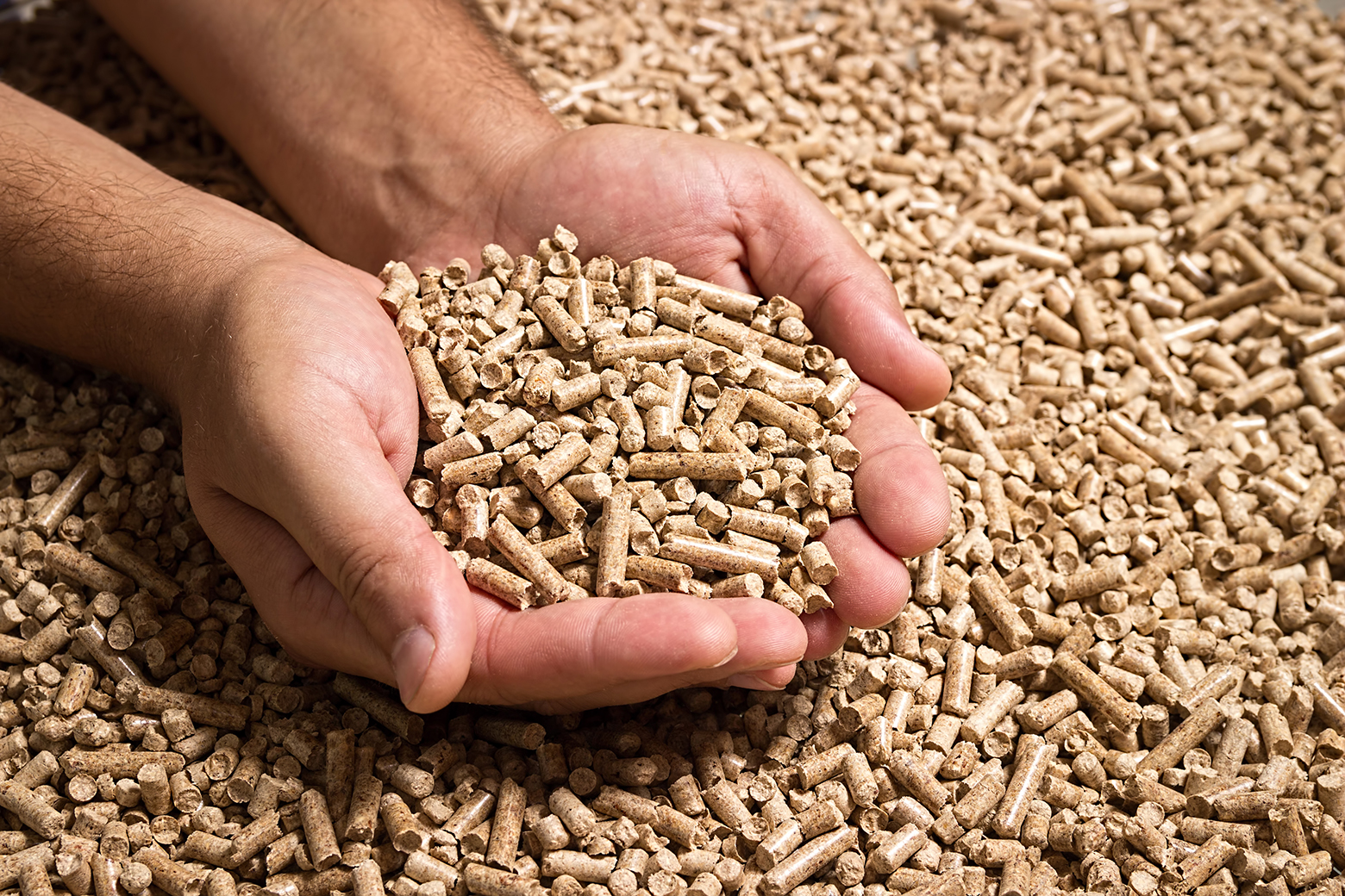 pellets 3